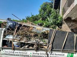 Best Carpet Removal and Disposal  in Norton Shores, MI